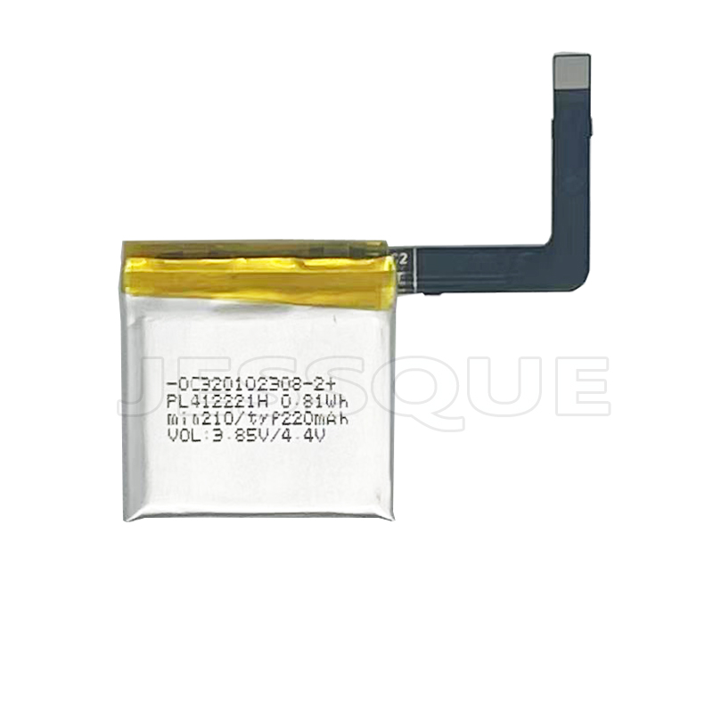 Batteria originale 220mAh PL41 - Smartwatch A1914 recensione e prezzo